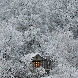 Meet your Posher, Heidi